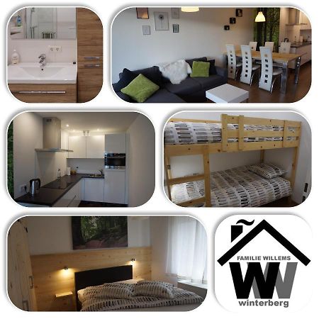 Appartement Familie Willems Winterberg 2 Eksteriør bilde