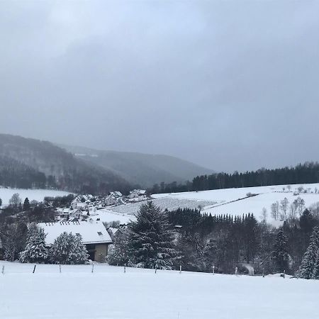 Appartement Familie Willems Winterberg 2 Eksteriør bilde