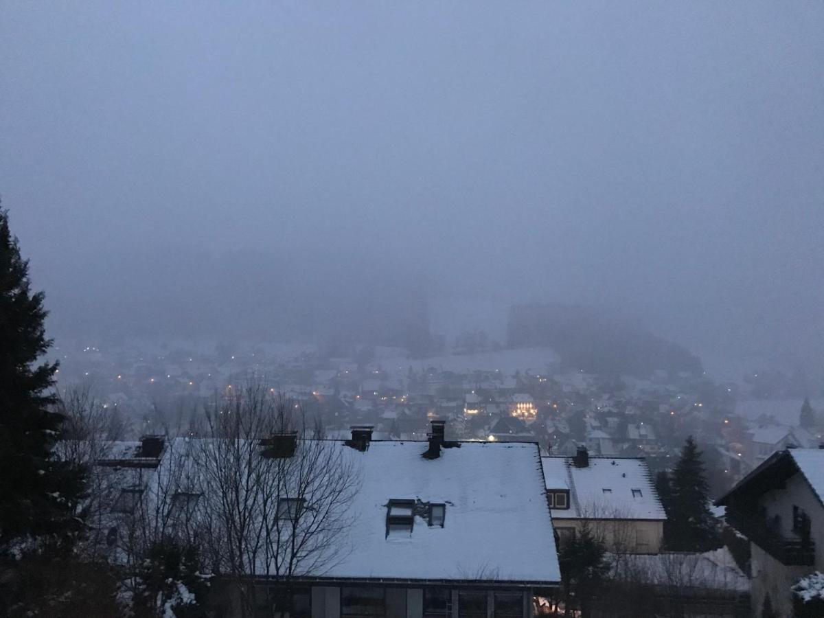Appartement Familie Willems Winterberg 2 Eksteriør bilde