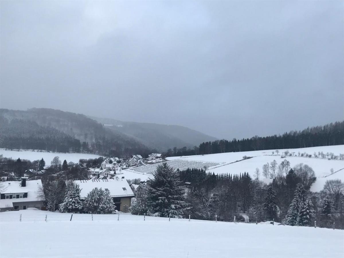 Appartement Familie Willems Winterberg 2 Eksteriør bilde
