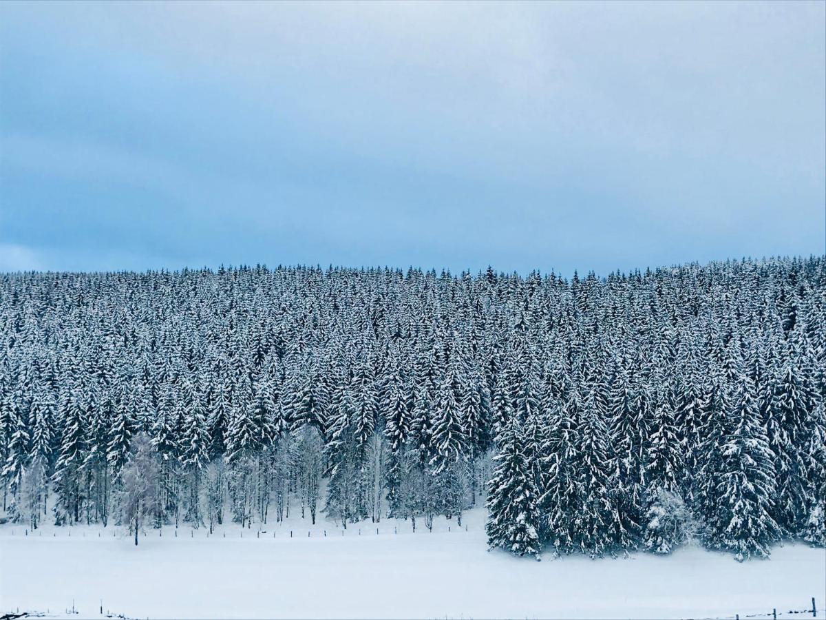 Appartement Familie Willems Winterberg 2 Eksteriør bilde