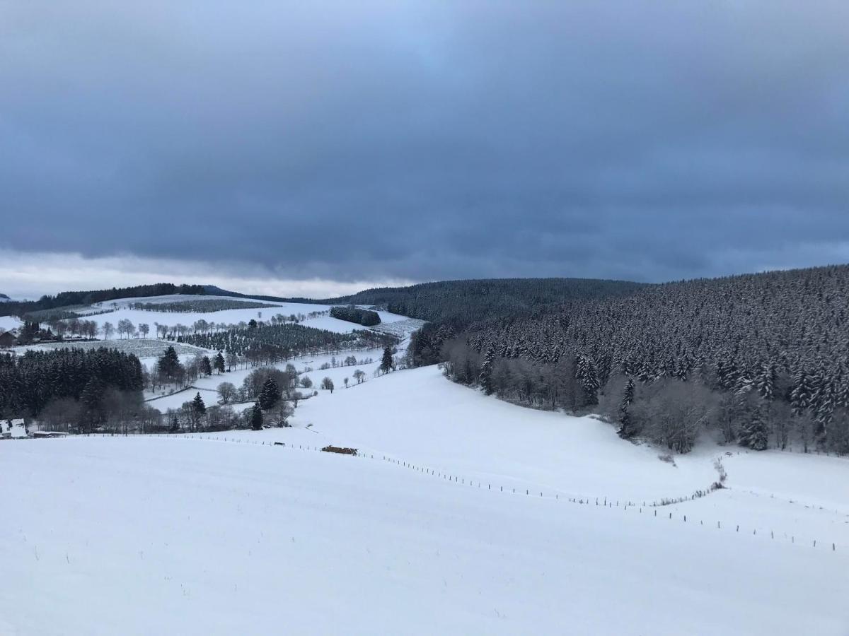 Appartement Familie Willems Winterberg 2 Eksteriør bilde